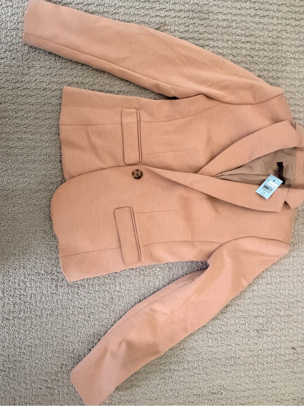 Ann Taylor Blush Pink Single-Button Tailored Blazer